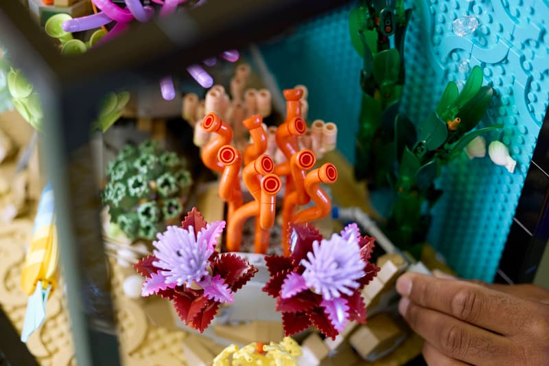 Esposizione Acquario Tropicale - 10366 🔥 Saldi di Liquidazione di 3 Giorni 🇺🇸 Spedisce dal magazzino negli Stati Uniti 📦 Scorte Limitate ⏳ Termina Presto