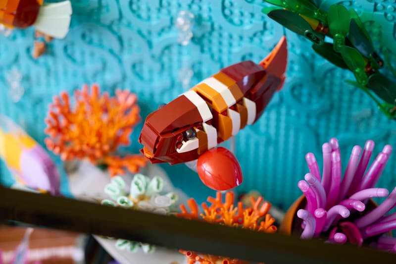 Esposizione Acquario Tropicale - 10366 🔥 Saldi di Liquidazione di 3 Giorni 🇺🇸 Spedisce dal magazzino negli Stati Uniti 📦 Scorte Limitate ⏳ Termina Presto