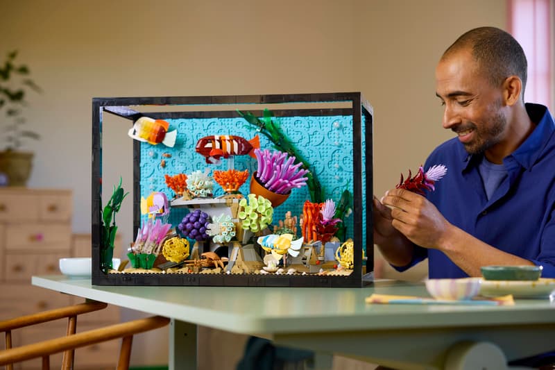 Esposizione Acquario Tropicale - 10366 🔥 Saldi di Liquidazione di 3 Giorni 🇺🇸 Spedisce dal magazzino negli Stati Uniti 📦 Scorte Limitate ⏳ Termina Presto
