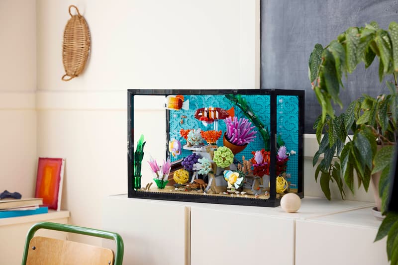 Esposizione Acquario Tropicale - 10366 🔥 Saldi di Liquidazione di 3 Giorni 🇺🇸 Spedisce dal magazzino negli Stati Uniti 📦 Scorte Limitate ⏳ Termina Presto